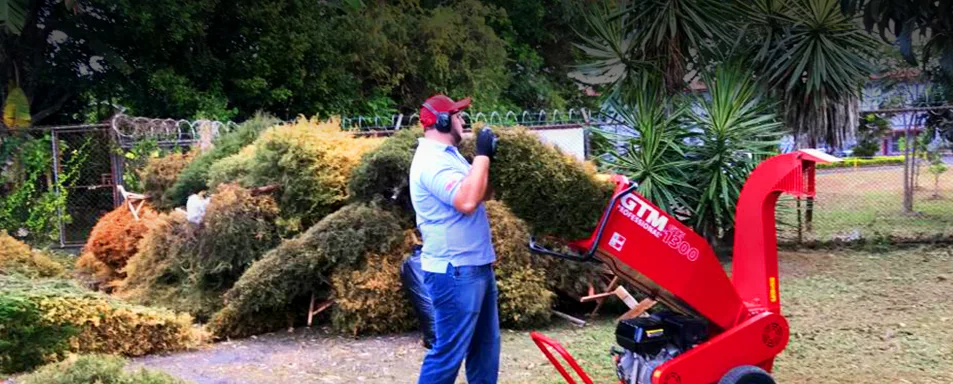 Hombre utilizando máquina para cortar árboles de navidad