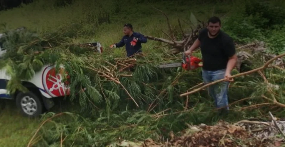 Hombres recogiendo ramas